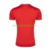 Iran Voetbalshirts Uit 2026